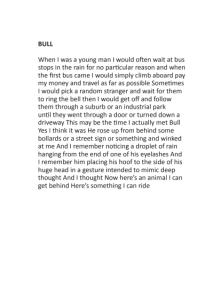 Bull James Roome Page 1